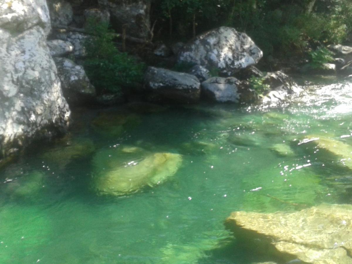Moltifao Autour Du Hamac Chambres Et Table D'Hotes מראה חיצוני תמונה